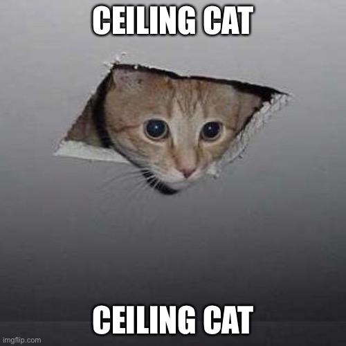 Ceiling cat | CEILING CAT; CEILING CAT | image tagged in memes,ceiling cat | made w/ Imgflip meme maker