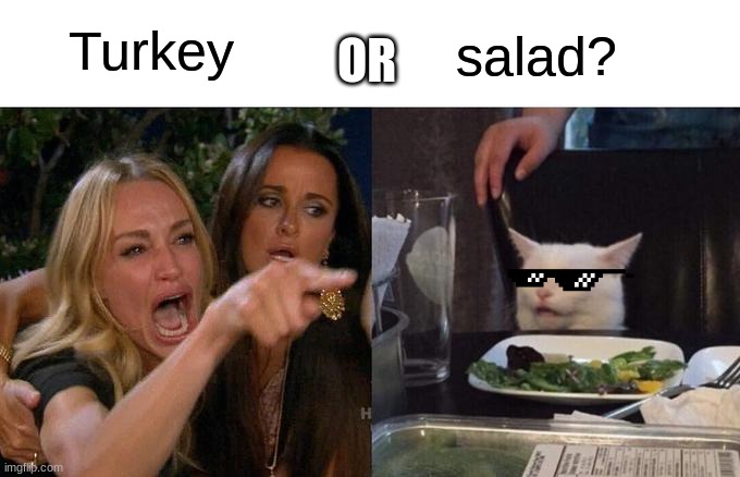 Turkey or Salade | OR; Turkey; salad? | image tagged in memes,woman yelling at cat | made w/ Imgflip meme maker