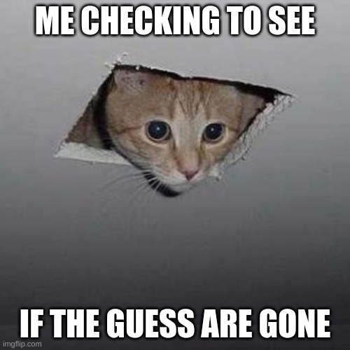 Ceiling Cat Meme | ME CHECKING TO SEE; IF THE GUESS ARE GONE | image tagged in memes,ceiling cat | made w/ Imgflip meme maker