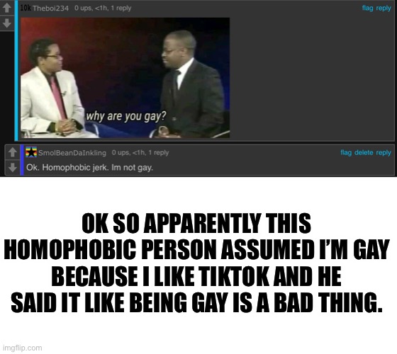 Help | OK SO APPARENTLY THIS HOMOPHOBIC PERSON ASSUMED I’M GAY BECAUSE I LIKE TIKTOK AND HE SAID IT LIKE BEING GAY IS A BAD THING. | image tagged in lgbtq | made w/ Imgflip meme maker