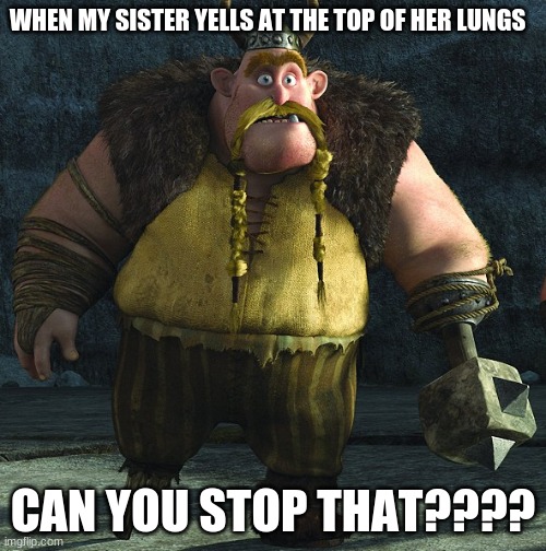 Can you stop that??!! | WHEN MY SISTER YELLS AT THE TOP OF HER LUNGS; CAN YOU STOP THAT???? | image tagged in how to train your dragon,sister | made w/ Imgflip meme maker