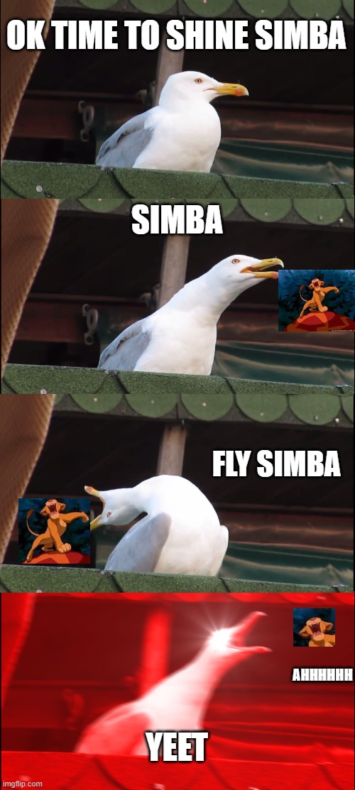 yeet the simba | OK TIME TO SHINE SIMBA; SIMBA; FLY SIMBA; AHHHHHH; YEET | image tagged in memes,inhaling seagull | made w/ Imgflip meme maker
