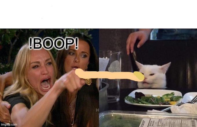 Woman Yelling At Cat Meme | !BOOP! | image tagged in memes,woman yelling at cat | made w/ Imgflip meme maker