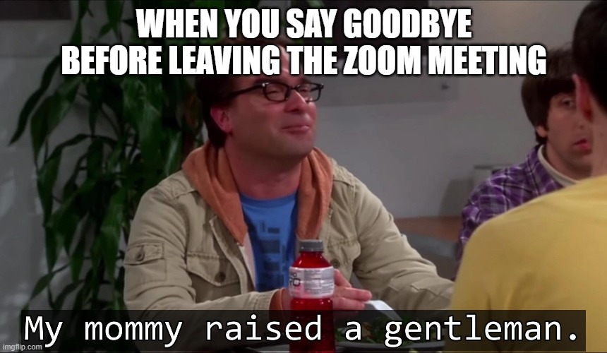 My mommy raised a gentleman | WHEN YOU SAY GOODBYE BEFORE LEAVING THE ZOOM MEETING | image tagged in my mommy raised a gentleman,funny | made w/ Imgflip meme maker