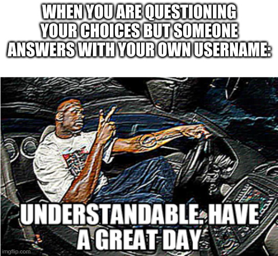 UNDERSTANDABLE, HAVE A GREAT DAY | WHEN YOU ARE QUESTIONING YOUR CHOICES BUT SOMEONE ANSWERS WITH YOUR OWN USERNAME: | image tagged in understandable have a great day | made w/ Imgflip meme maker