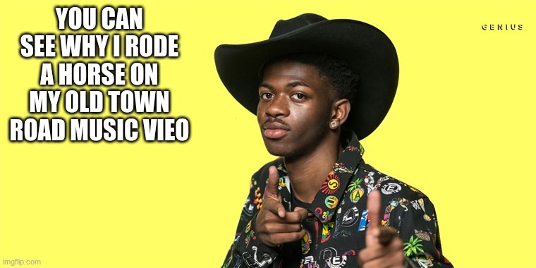 Lil Nas X blank | YOU CAN SEE WHY I RODE A HORSE ON MY OLD TOWN ROAD MUSIC VIEO | image tagged in lil nas x blank | made w/ Imgflip meme maker