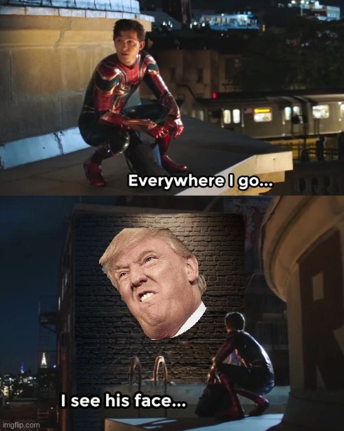 trump boi | image tagged in everywhere i go i see his face | made w/ Imgflip meme maker