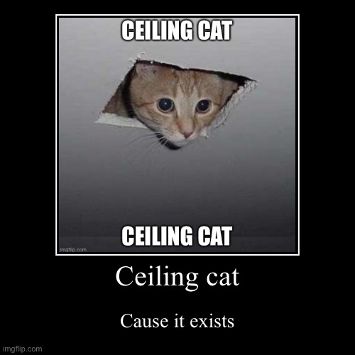 Ceiling cat | image tagged in funny,demotivationals | made w/ Imgflip demotivational maker