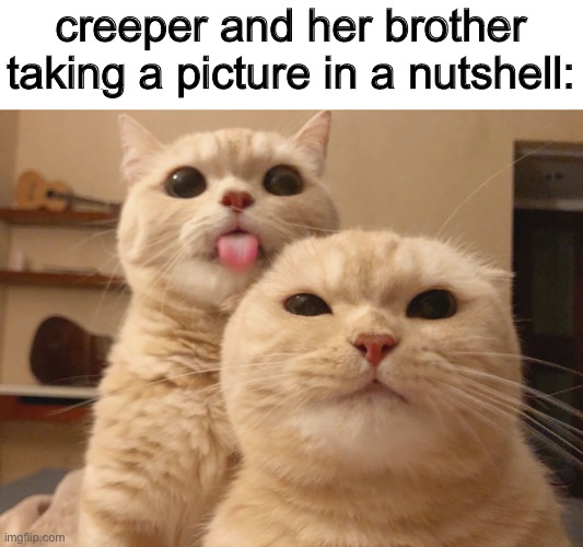 creeper and her brother taking a picture in a nutshell: | made w/ Imgflip meme maker