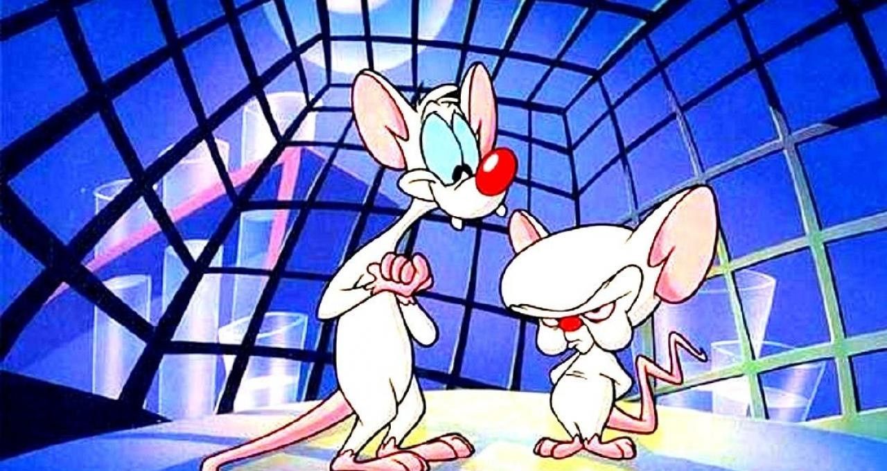Pinky and the Brain Blank Meme Template