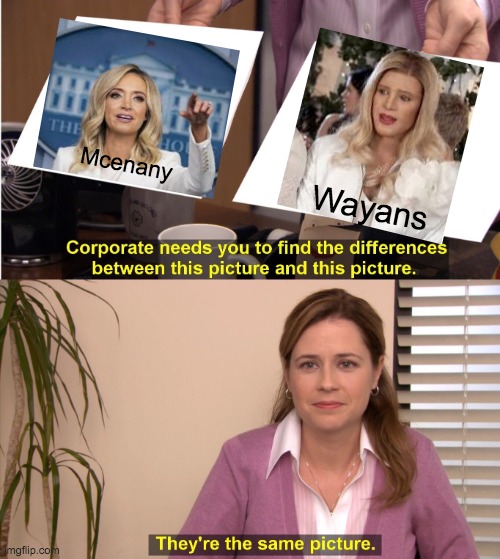 Uncanny Valley Girls | Mcenany; Wayans | image tagged in memes,they're the same picture,uncanny valley,makeup,mask | made w/ Imgflip meme maker