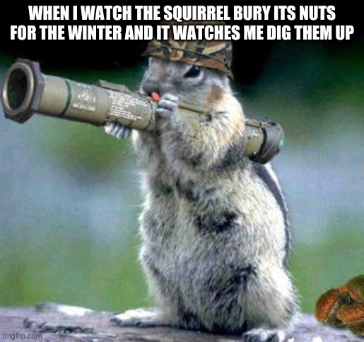 Bazooka Squirrel | WHEN I WATCH THE SQUIRREL BURY ITS NUTS FOR THE WINTER AND IT WATCHES ME DIG THEM UP | image tagged in memes,bazooka squirrel | made w/ Imgflip meme maker