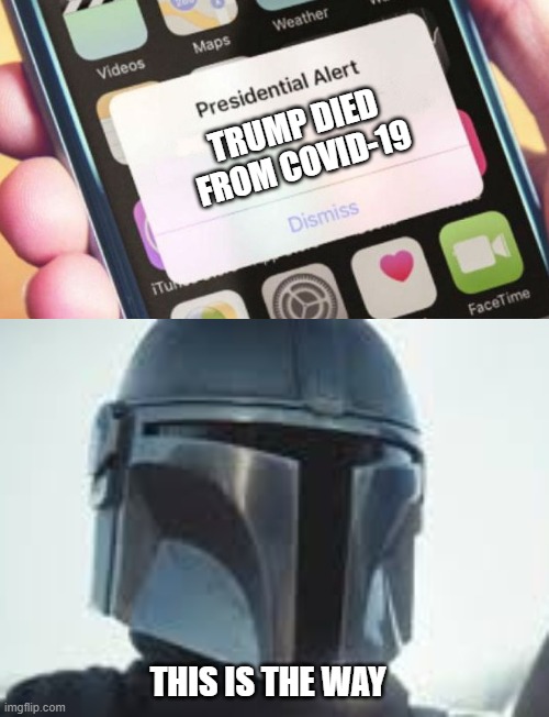 this is the way | TRUMP DIED FROM COVID-19; THIS IS THE WAY | image tagged in memes,presidential alert | made w/ Imgflip meme maker