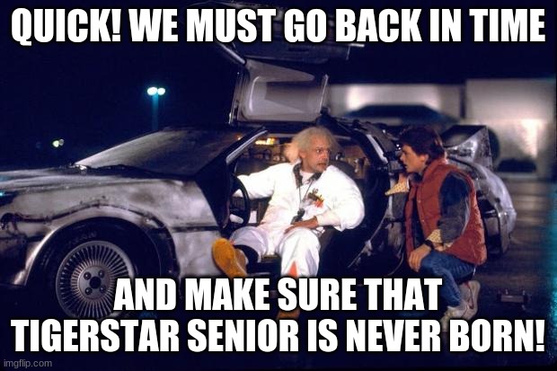 If warrior cats had a time machine: |  QUICK! WE MUST GO BACK IN TIME; AND MAKE SURE THAT TIGERSTAR SENIOR IS NEVER BORN! | image tagged in back to the future | made w/ Imgflip meme maker