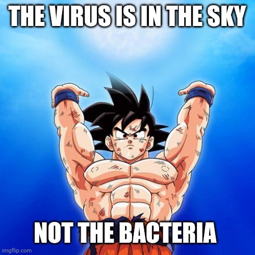 goku spirit bomb | THE VIRUS IS IN THE SKY NOT THE BACTERIA | image tagged in goku spirit bomb | made w/ Imgflip meme maker
