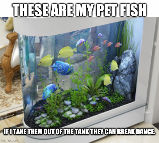 THESE ARE MY PET FISH; IF I TAKE THEM OUT OF THE TANK THEY CAN BREAK DANCE. | image tagged in white background | made w/ Imgflip meme maker