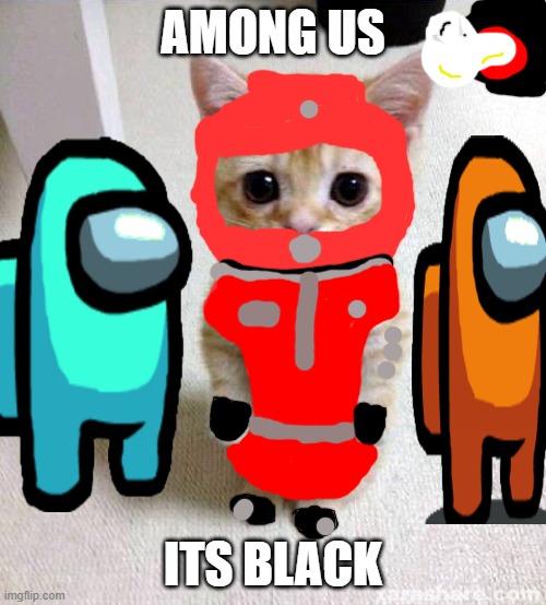 among us | AMONG US; ITS BLACK | image tagged in memes,cute cat | made w/ Imgflip meme maker