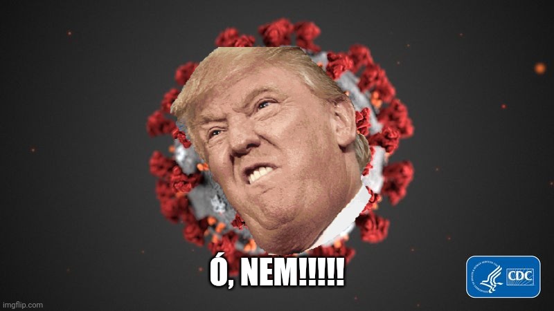 Covid 19 | Ó, NEM!!!!! | image tagged in covid 19 | made w/ Imgflip meme maker