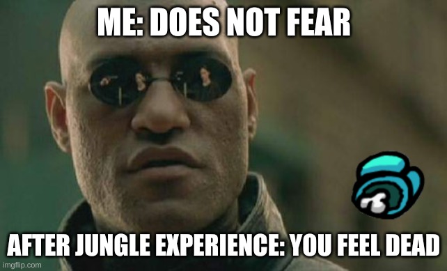 Matrix Morpheus | ME: DOES NOT FEAR; AFTER JUNGLE EXPERIENCE: YOU FEEL DEAD | image tagged in memes,matrix morpheus | made w/ Imgflip meme maker