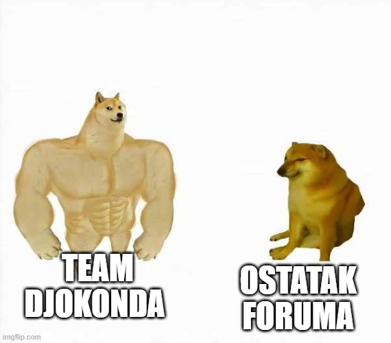 Team Djokonda | OSTATAK FORUMA; TEAM DJOKONDA | image tagged in strong dog weak dog | made w/ Imgflip meme maker