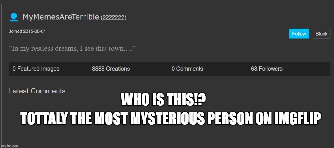 please tell me your thoures in the comments | WHO IS THIS!? TOTTALY THE MOST MYSTERIOUS PERSON ON IMGFLIP | image tagged in why are you reading this,wtf | made w/ Imgflip meme maker