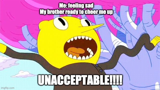 UNACCEPTABLE | Me: feeling sad
My brother ready to cheer me up; UNACCEPTABLE!!!! | image tagged in unacceptable | made w/ Imgflip meme maker