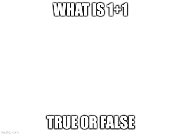 TELL ME | WHAT IS 1+1; TRUE OR FALSE | image tagged in blank white template | made w/ Imgflip meme maker