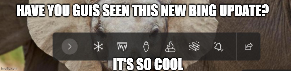 It is so cool | HAVE YOU GUIS SEEN THIS NEW BING UPDATE? IT'S SO COOL | image tagged in update,elephant | made w/ Imgflip meme maker