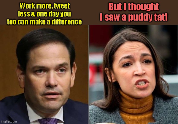 Marco Rubio makes a suggestion to looney tune tweety bird | But I thought I saw a puddy tat! Work more, tweet less & one day you too can make a difference | image tagged in rubio vs aoc,crazy alexandria ocasio-cortez,aoc,twitter,tweety bird,looney tunes | made w/ Imgflip meme maker
