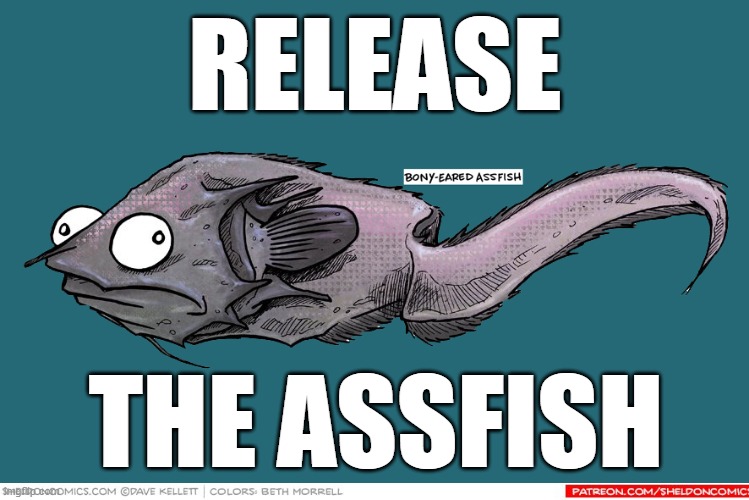 Release the Assfish | RELEASE; THE ASSFISH | image tagged in fish,assfish,release the kraken,releasethememo | made w/ Imgflip meme maker