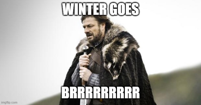 Winter Is Coming | WINTER GOES; BRRRRRRRRR | image tagged in winter is coming,memes | made w/ Imgflip meme maker