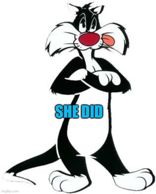 Sylvester the Cat | SHE DID | image tagged in sylvester the cat | made w/ Imgflip meme maker