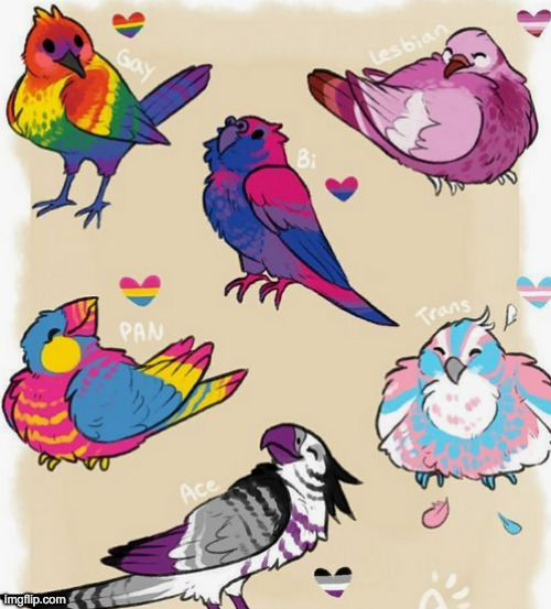 birbs! | image tagged in hiiii,helo,if ur reading the tags do you want to hear a story | made w/ Imgflip meme maker