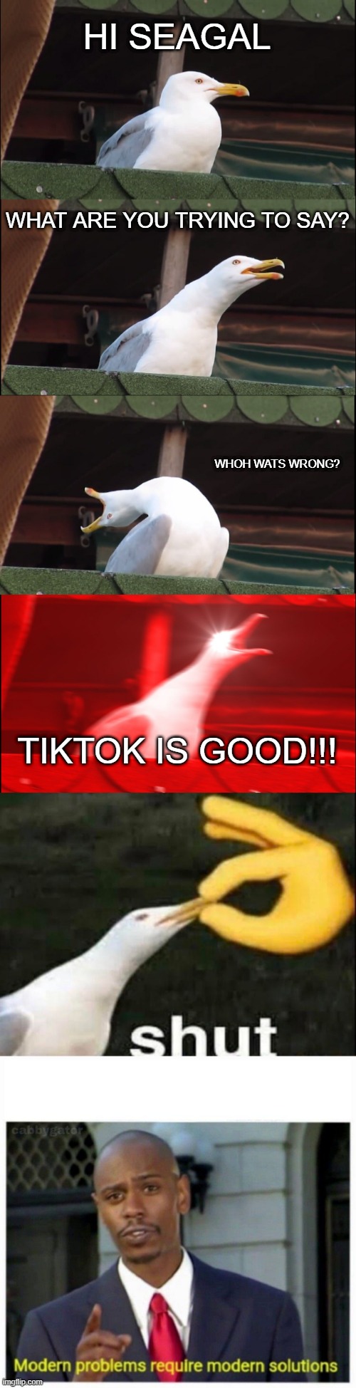 This took a while to make but its pretty good | HI SEAGAL; WHAT ARE YOU TRYING TO SAY? WHOH WATS WRONG? TIKTOK IS GOOD!!! | image tagged in memes,inhaling seagull,shut,modern problems | made w/ Imgflip meme maker