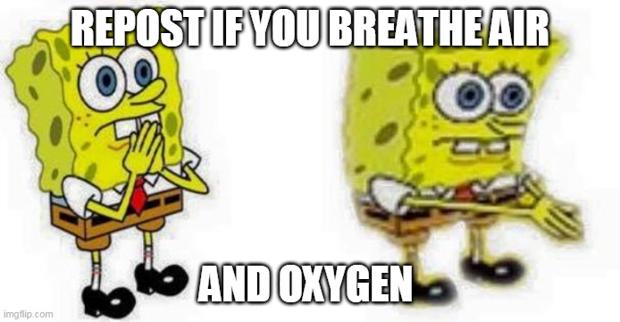 Spongebob *Inhale* Boi | REPOST IF YOU BREATHE AIR; AND OXYGEN | image tagged in spongebob inhale boi | made w/ Imgflip meme maker