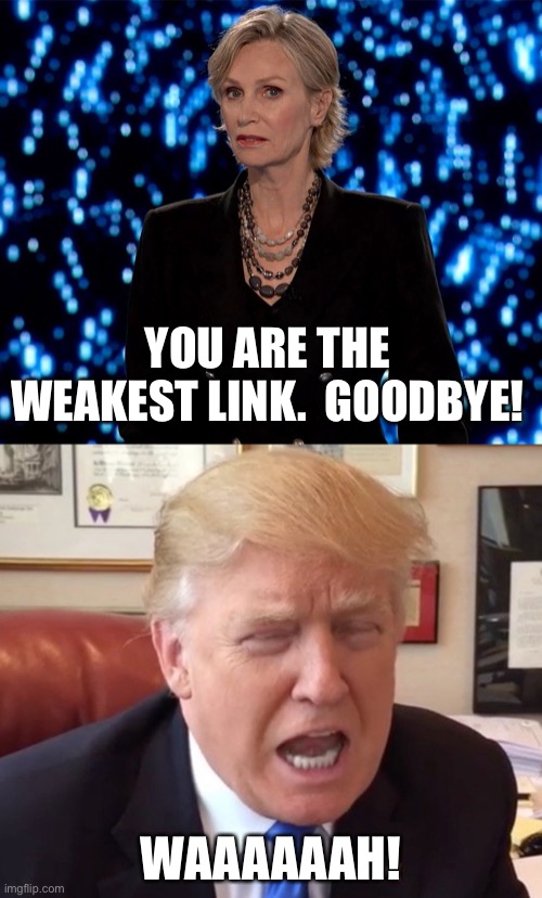 Is there a village that needs its idiot back? | YOU ARE THE WEAKEST LINK.  GOODBYE! WAAAAAAH! | image tagged in trump crying,memes | made w/ Imgflip meme maker
