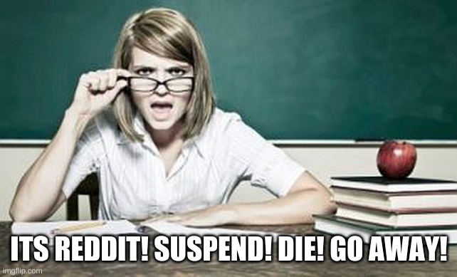 teacher | ITS REDDIT! SUSPEND! DIE! GO AWAY! | image tagged in teacher | made w/ Imgflip meme maker