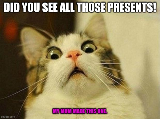 Presents | DID YOU SEE ALL THOSE PRESENTS! MY MUM MADE THIS ONE. | image tagged in memes,scared cat | made w/ Imgflip meme maker