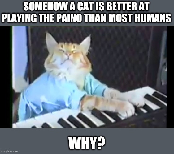 Keyboard Cat | SOMEHOW A CAT IS BETTER AT PLAYING THE PAINO THAN MOST HUMANS; WHY? | image tagged in keyboard cat,cats | made w/ Imgflip meme maker