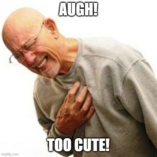 Right In The Childhood Meme | AUGH! TOO CUTE! | image tagged in memes,right in the childhood | made w/ Imgflip meme maker