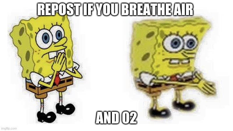 Spongebob Boi | REPOST IF YOU BREATHE AIR; AND 02 | image tagged in spongebob boi | made w/ Imgflip meme maker