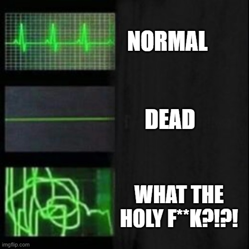 Leave it blank, please | NORMAL; DEAD; WHAT THE HOLY F**K?!?! | image tagged in leave it blank please | made w/ Imgflip meme maker
