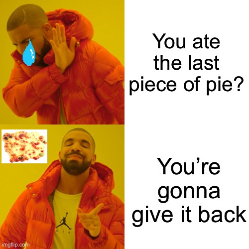 Drake Hotline Bling Meme | You ate the last piece of pie? You’re gonna give it back | image tagged in memes,drake hotline bling | made w/ Imgflip meme maker