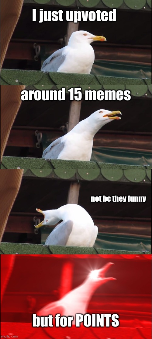 upvotes | I just upvoted; around 15 memes; not bc they funny; but for POINTS | image tagged in memes,inhaling seagull | made w/ Imgflip meme maker