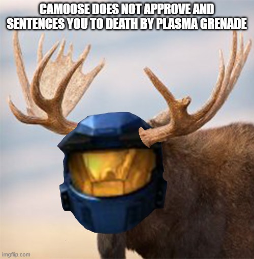 Camoose | CAMOOSE DOES NOT APPROVE AND SENTENCES YOU TO DEATH BY PLASMA GRENADE | image tagged in camoose | made w/ Imgflip meme maker