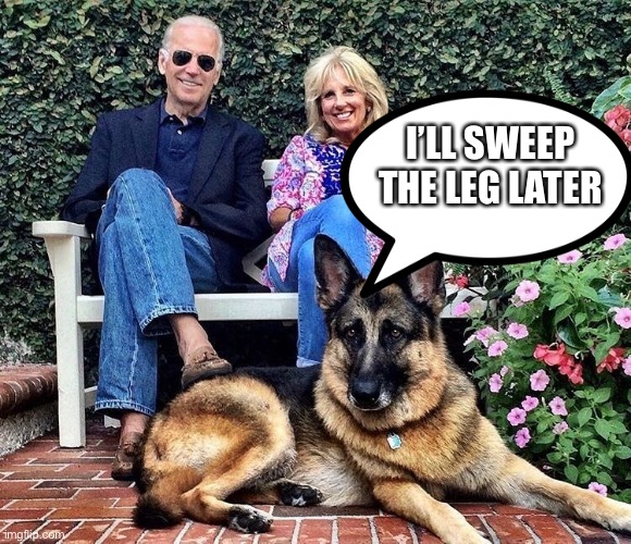 Biden's Dogs | I’LL SWEEP THE LEG LATER | image tagged in biden's dogs | made w/ Imgflip meme maker