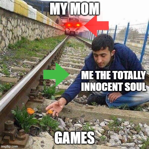 Flower Train Man | MY MOM; ME THE TOTALLY INNOCENT SOUL; GAMES | image tagged in flower train man | made w/ Imgflip meme maker