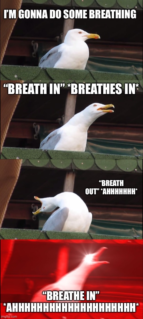 he can breathe at least | I’M GONNA DO SOME BREATHING; “BREATH IN” *BREATHES IN*; “BREATH OUT” *AHHHHHHH*; “BREATHE IN” *AHHHHHHHHHHHHHHHHHHHH* | image tagged in memes,inhaling seagull | made w/ Imgflip meme maker