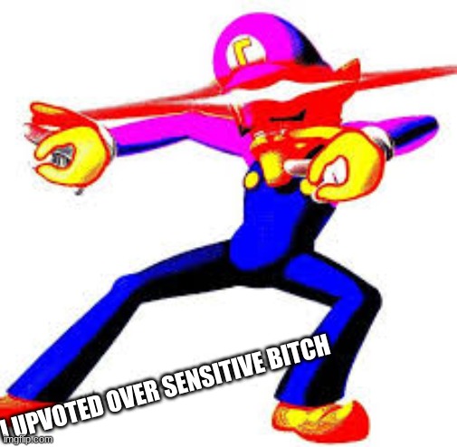 I UPVOTED OVER SENSITIVE BITCH | image tagged in wah | made w/ Imgflip meme maker