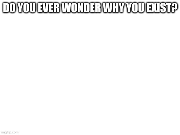 why do i exist? | DO YOU EVER WONDER WHY YOU EXIST? | image tagged in blank white template | made w/ Imgflip meme maker